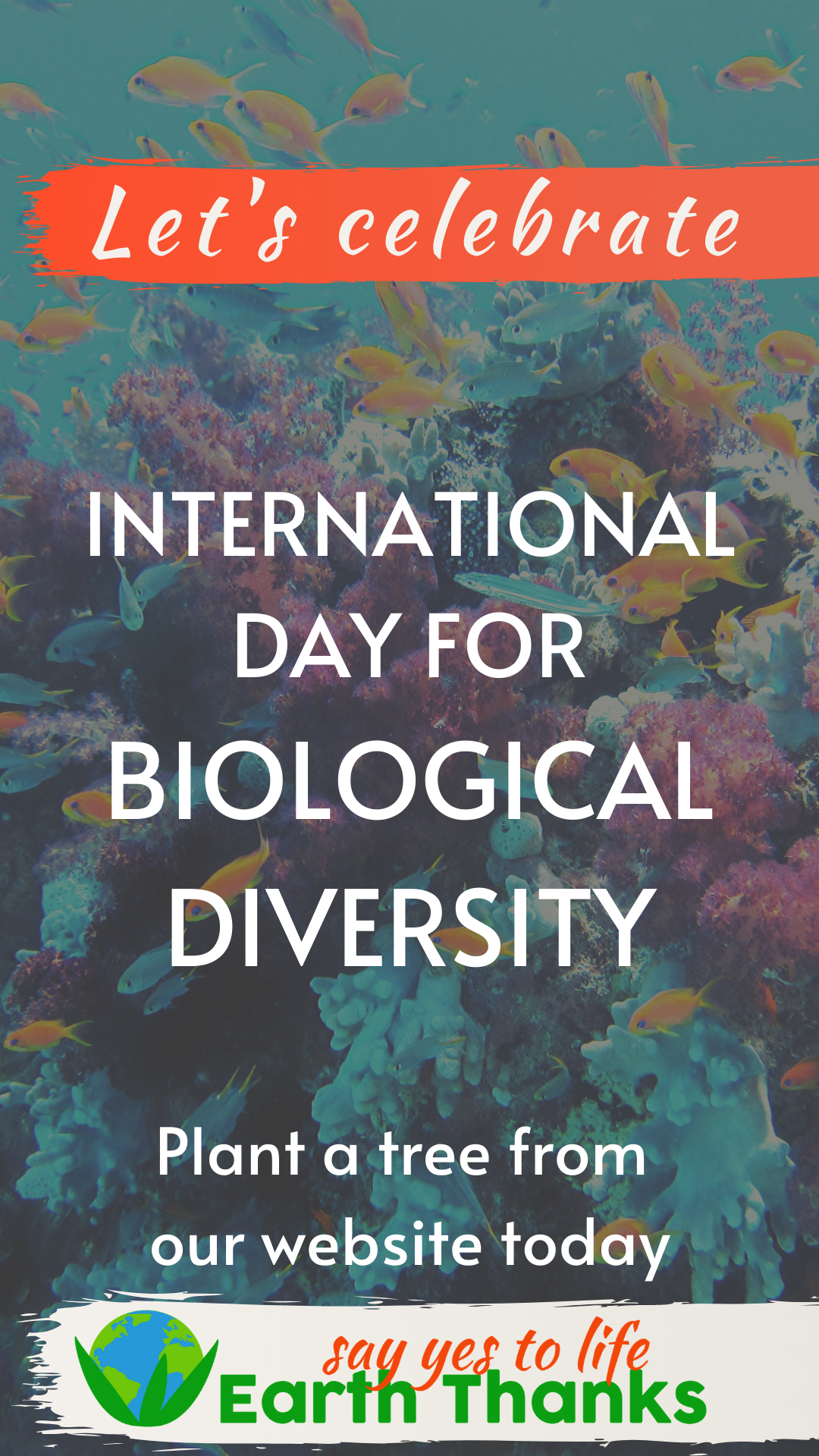 International Day for Biological Diversity 22 May 2024 - Embrace and Protect Nature