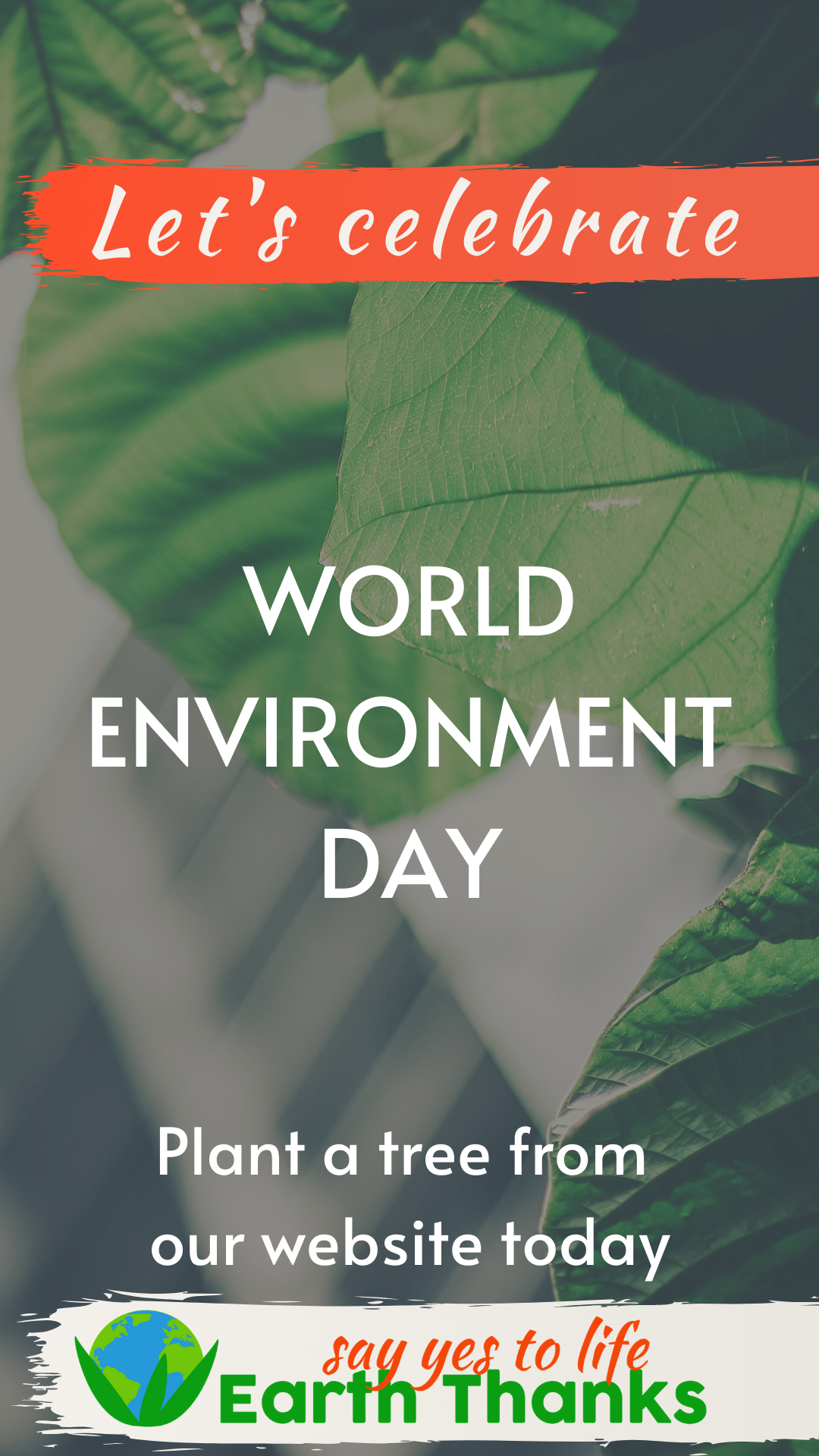 World Environment Day 2024: Taking Action for a Greener Future