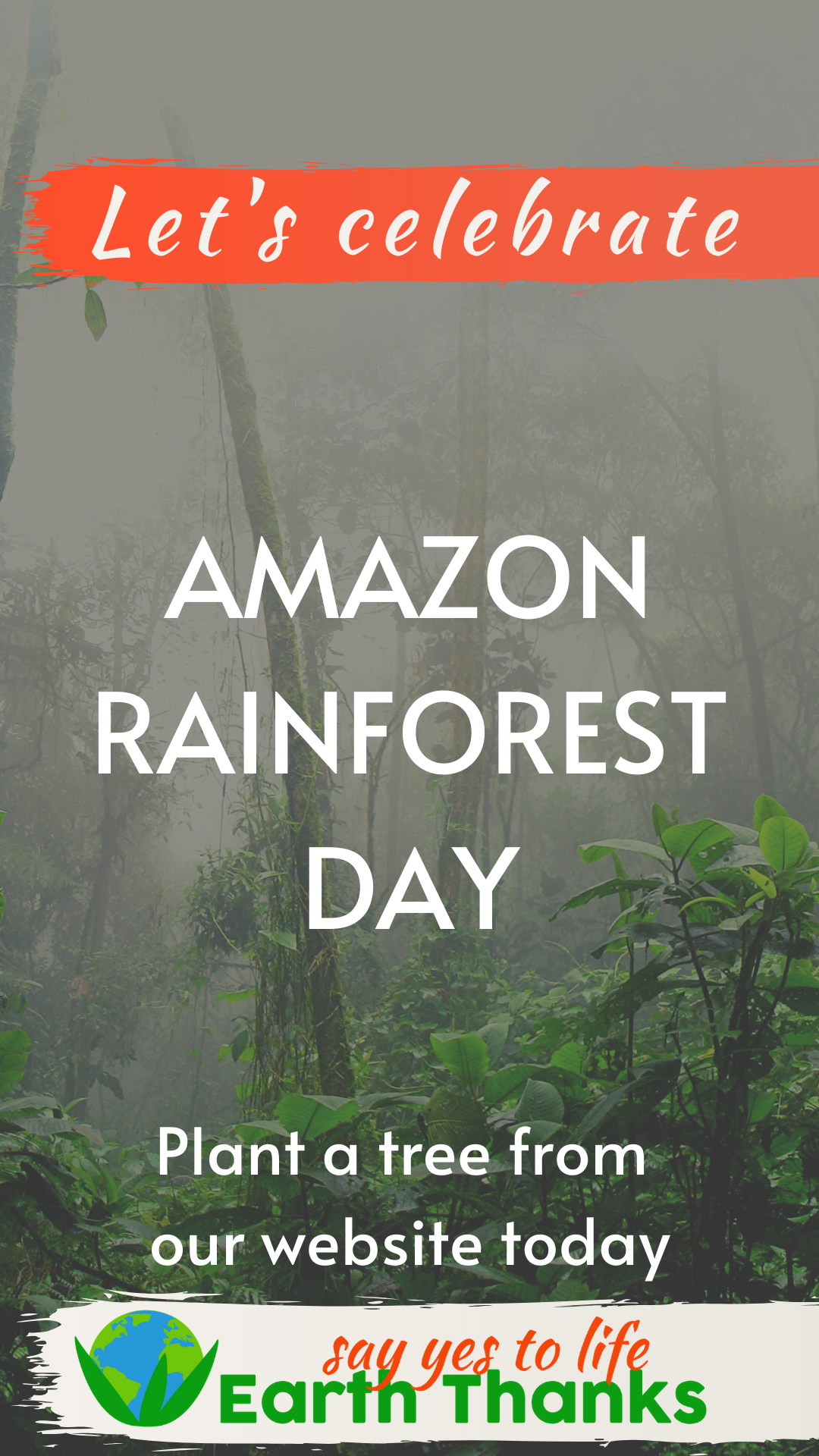 Amazon Rainforest Day 2024: How You Can Help Save the Lungs of the Earth