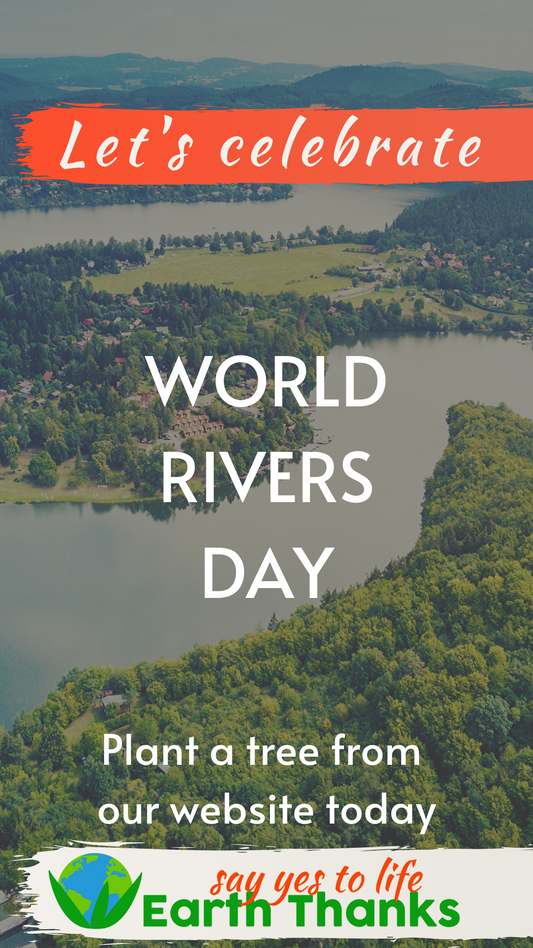 World Rivers Day: Celebrating and Protecting Our Lifeblood