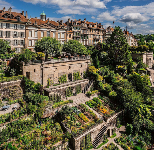 Urban Gardening - Earth Thanks - cities, garden, plant a tree, plant trees, trees, urban parks, urban regeneration , natural, vegan, eco-friendly, organic, sustainable living