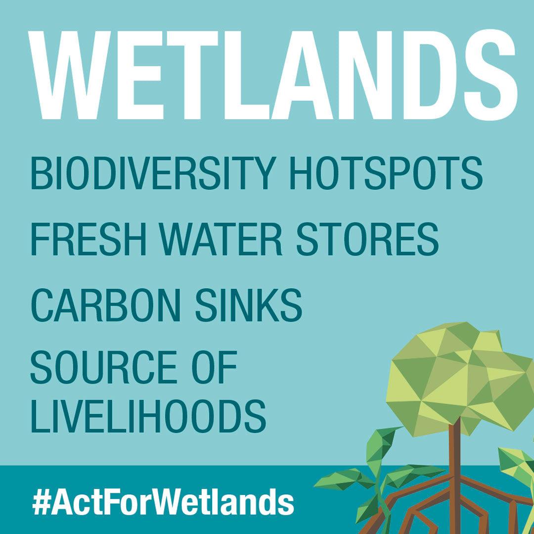 World Wetlands Day 2022