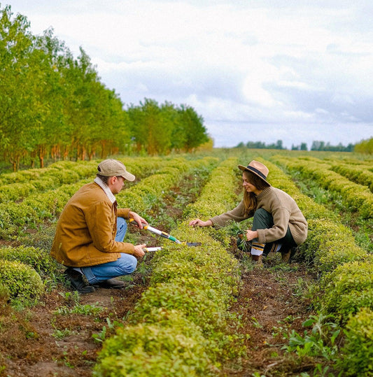 Agroecologcal systems to regenerate biodiversity and address climate change