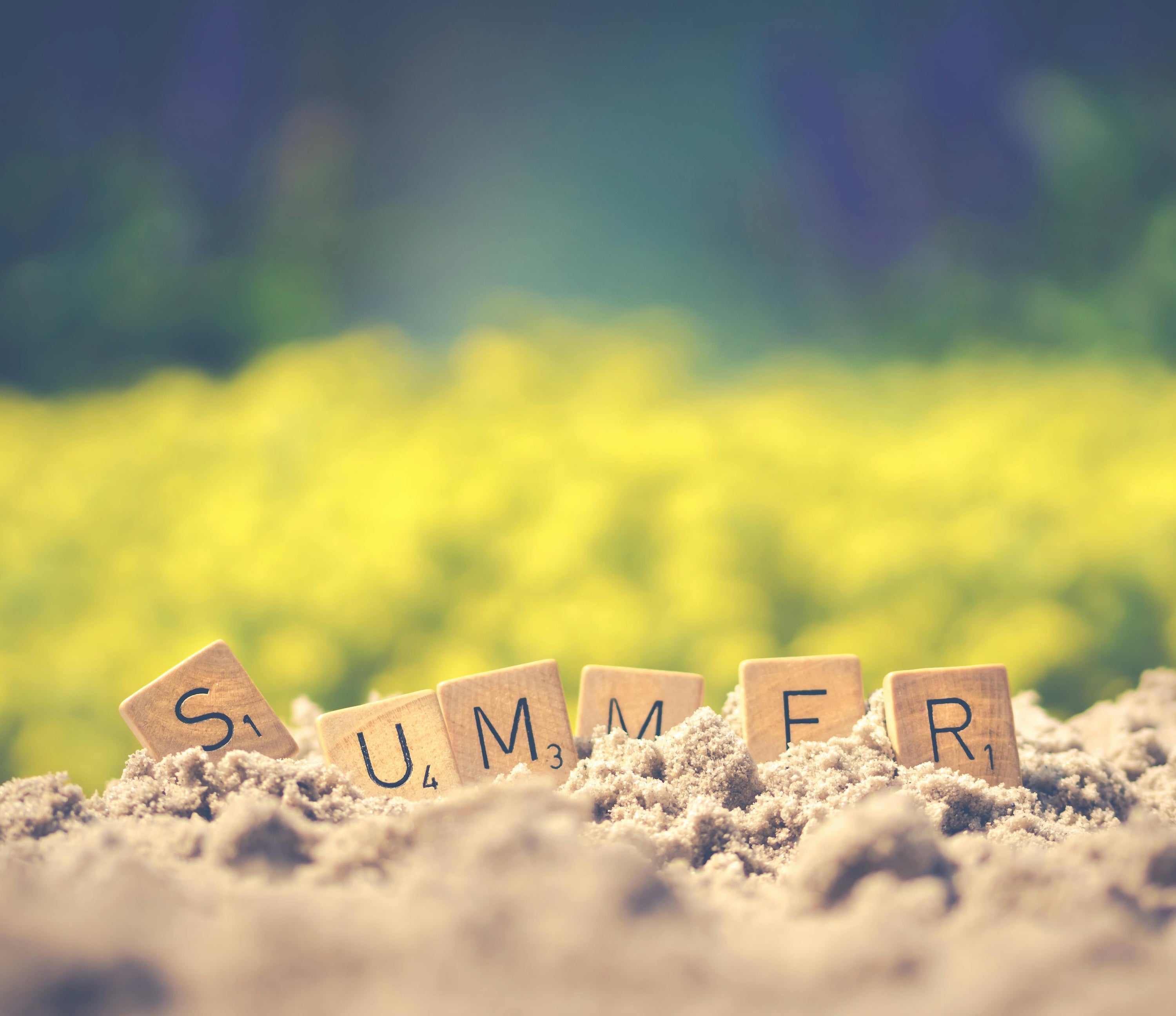 The Ultimate Zero-Waste Summer Guide: Your Eco-Friendly Roadmap to Fun in the Sun