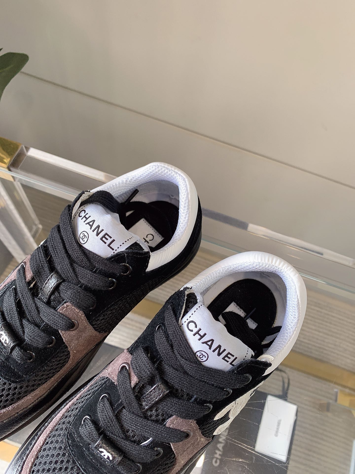 CC Sneaker In Black Mesh Fabric 145611