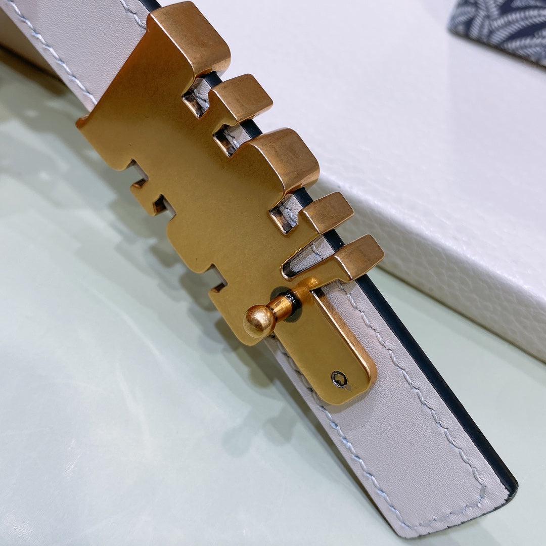 Dior 2026 D-Fence Reversible Belt 20mm Calfskin
