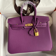 Hermes 2025 Birkin Bag Purple With Gold Hardware Togo Leather