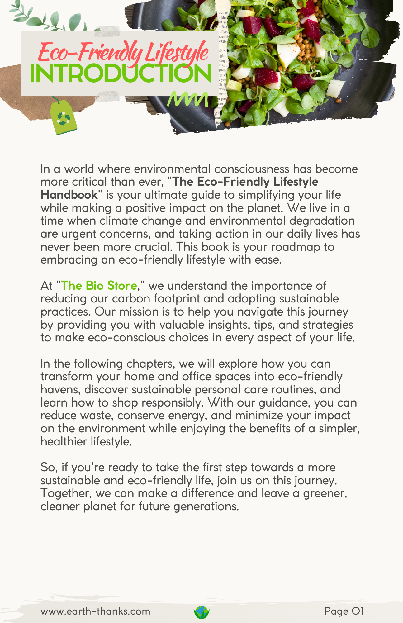 The Eco-Friendly Lifestyle Handbook: Tips for Everyday Home and Office Care and Personal Care - eBook