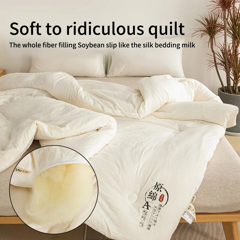 Raw Cotton Soybean Quilt Spring and Autumn Quilt Thickened Winter Quilt