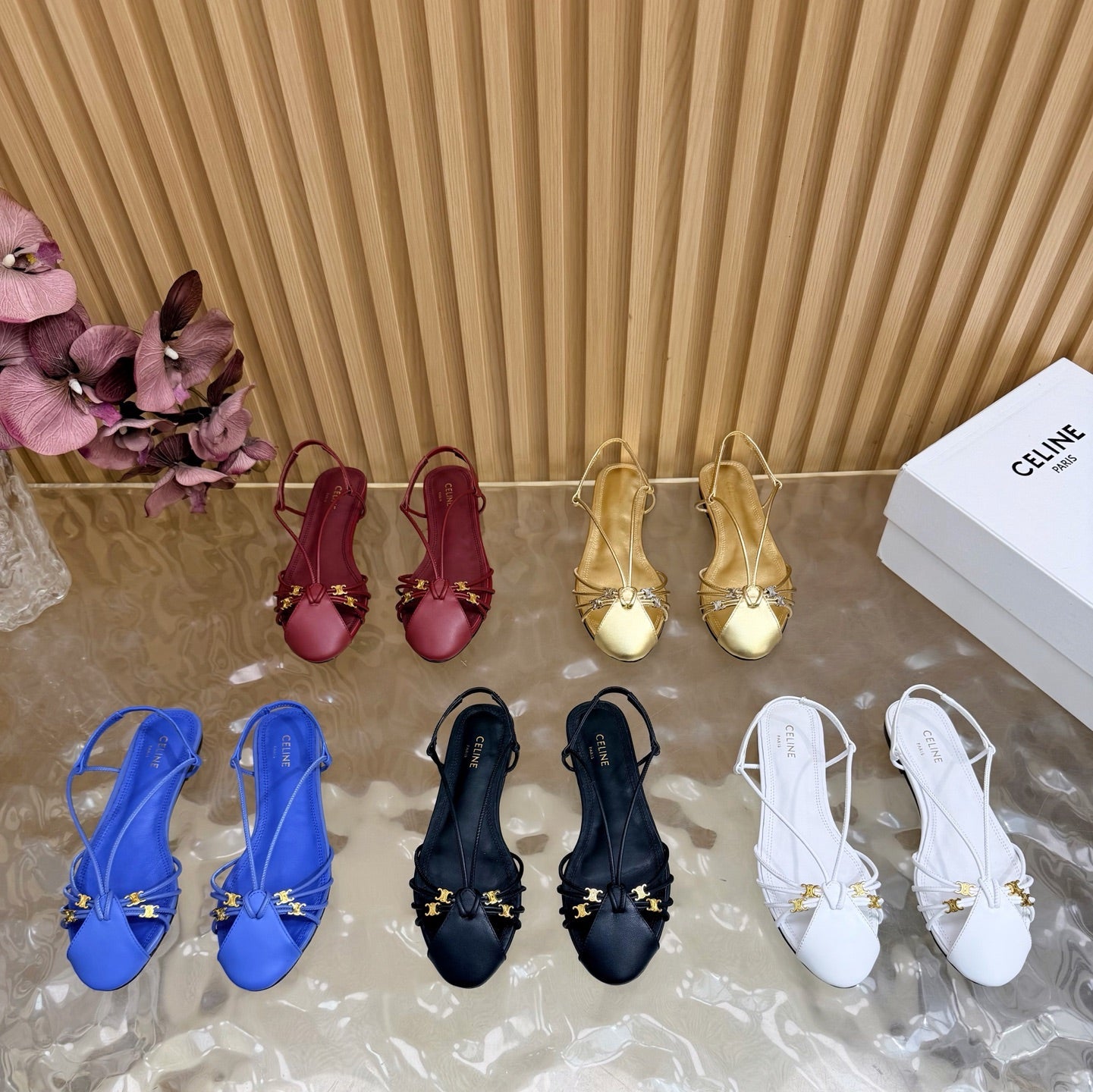 New Celine Shoe 2026