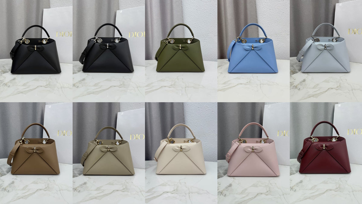New Dior Bag 2026