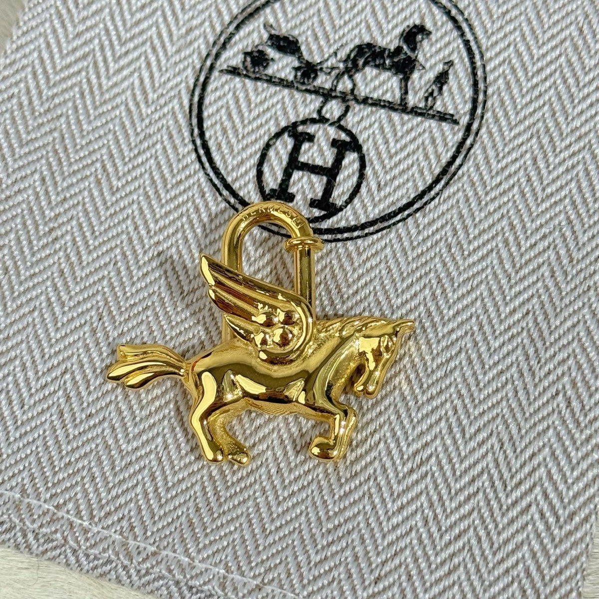 HM Pegasus Charm
