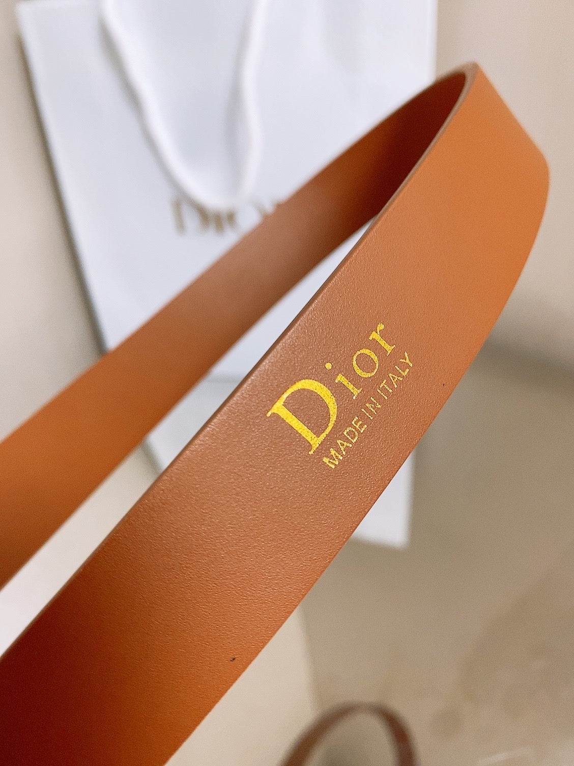 Dior 2026 Médaillon 7.3cm Buckle Belt 2.5cm Leather 216234