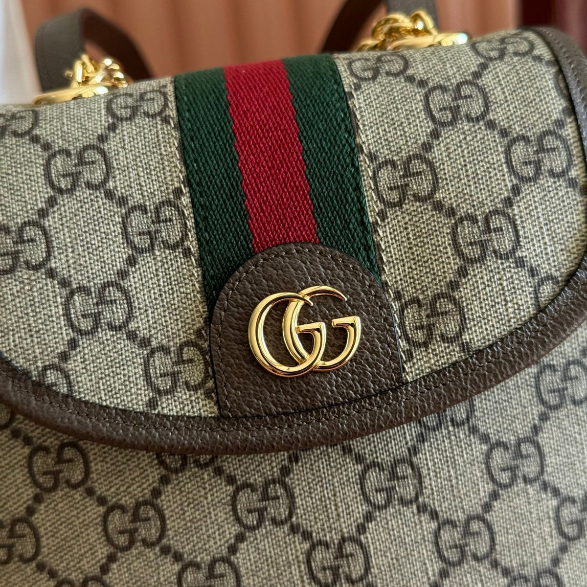Gucci 2026 Ophidia Backpack 20.5cm Brown Ebony Canvas Leather 280939