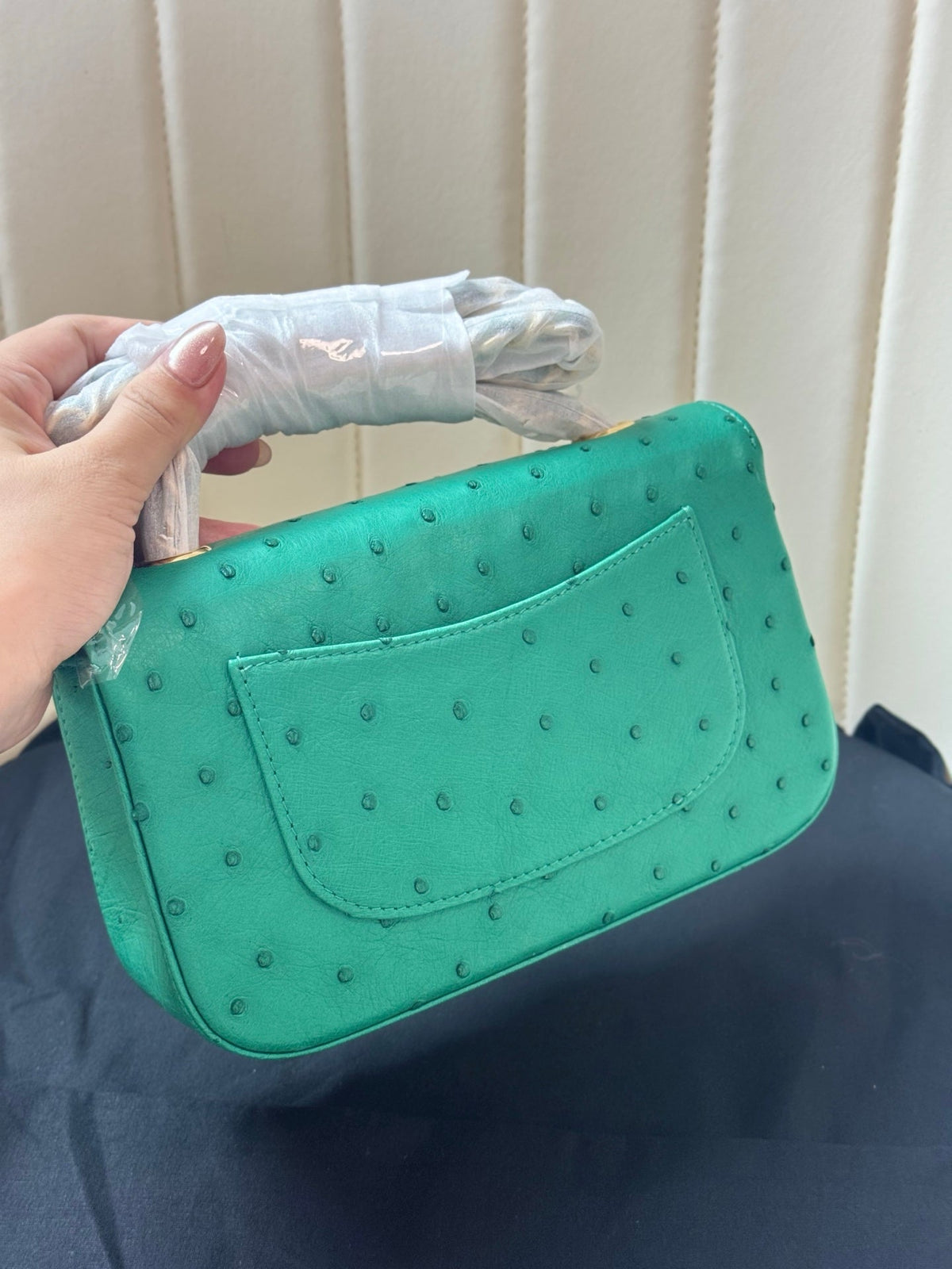 Chanel 2026 Flap Ostrich Embossed Bag 20cm Leather
