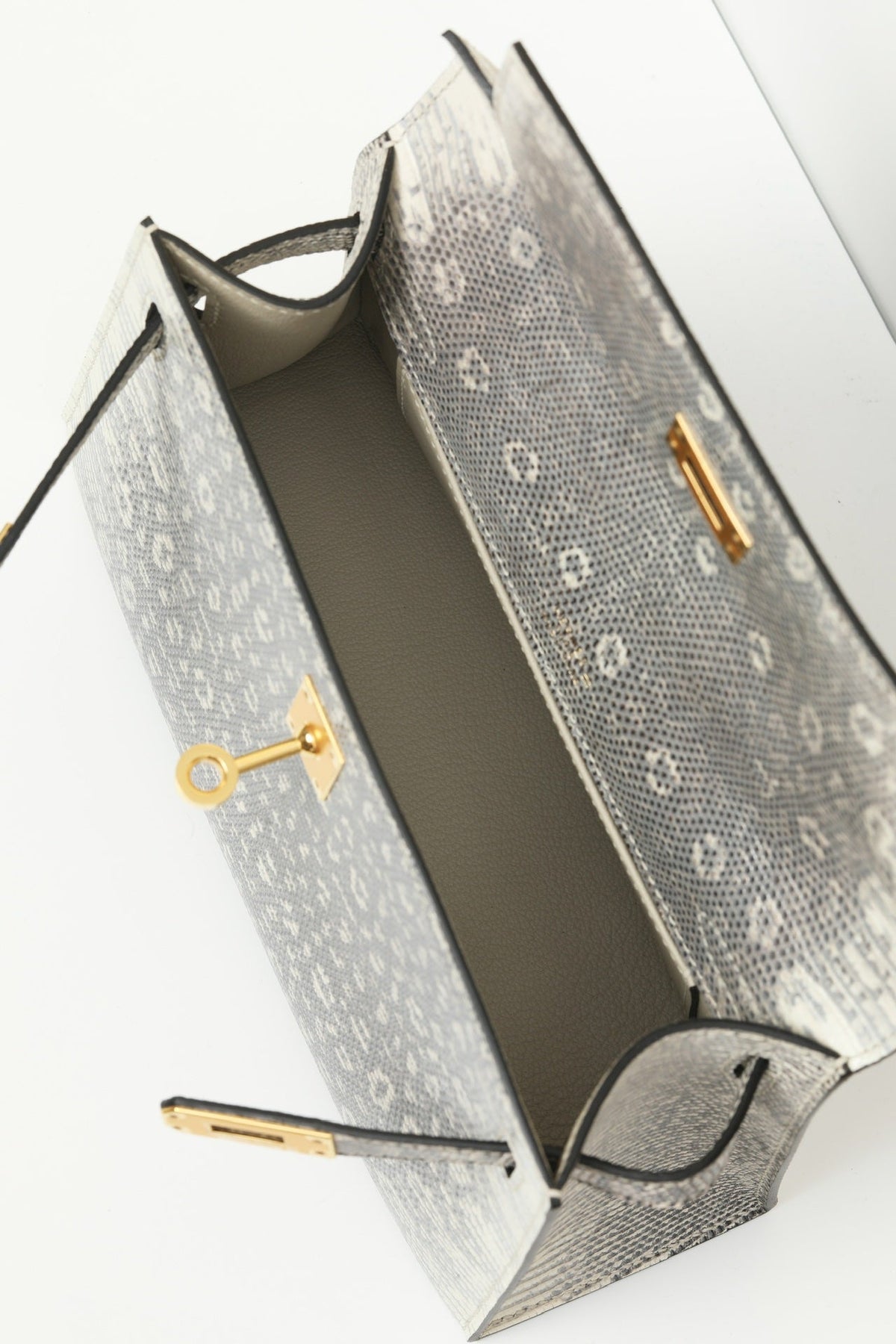 High-end Hermes 2026 Kelly Pochette Bag 22cm Ombre Lizard Skin