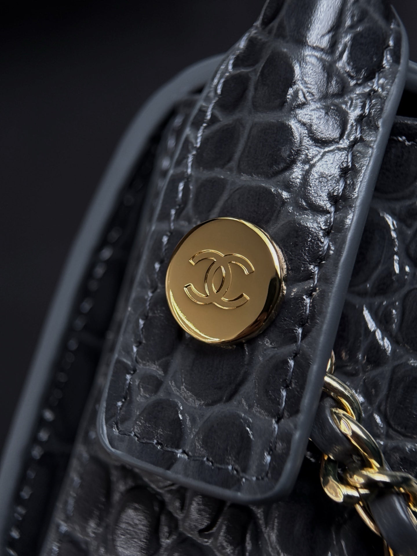 Chanel 2026 Crocodile Embossed Flap Bag 19.5cm Calfskin