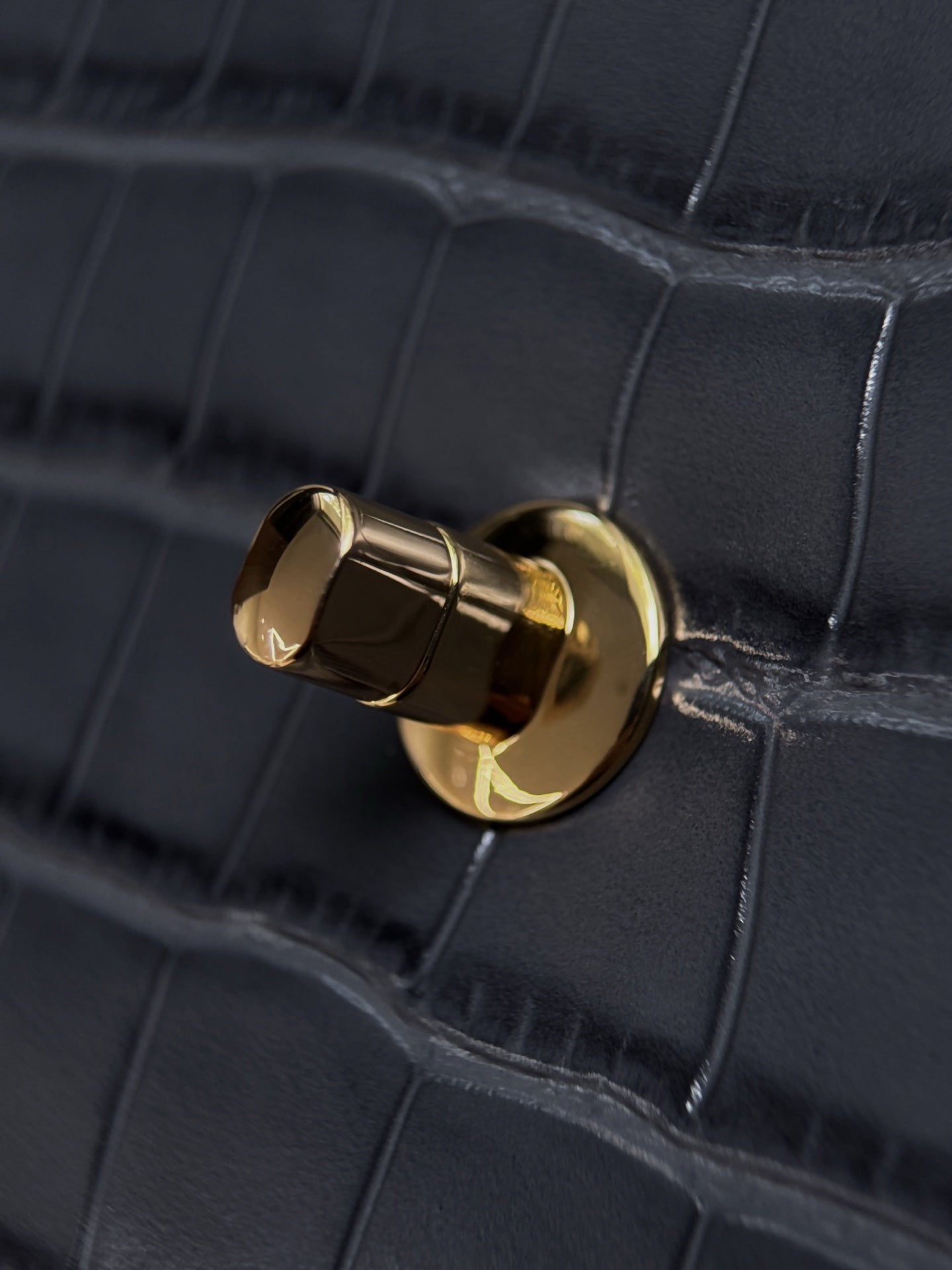 Chanel 2026 Crocodile Embossed Flap Bag 19.5cm Calfskin