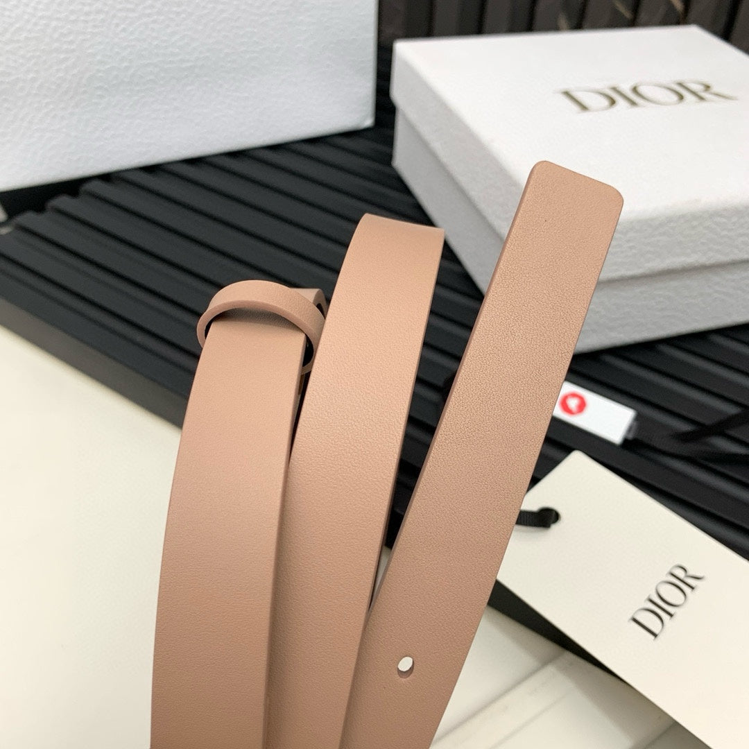 Dior 2026 Saddle Belt 25mm Calfskin