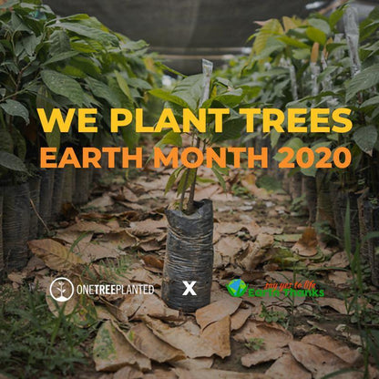 Tree to be Planted - Plant a Tree with One Tree Planted