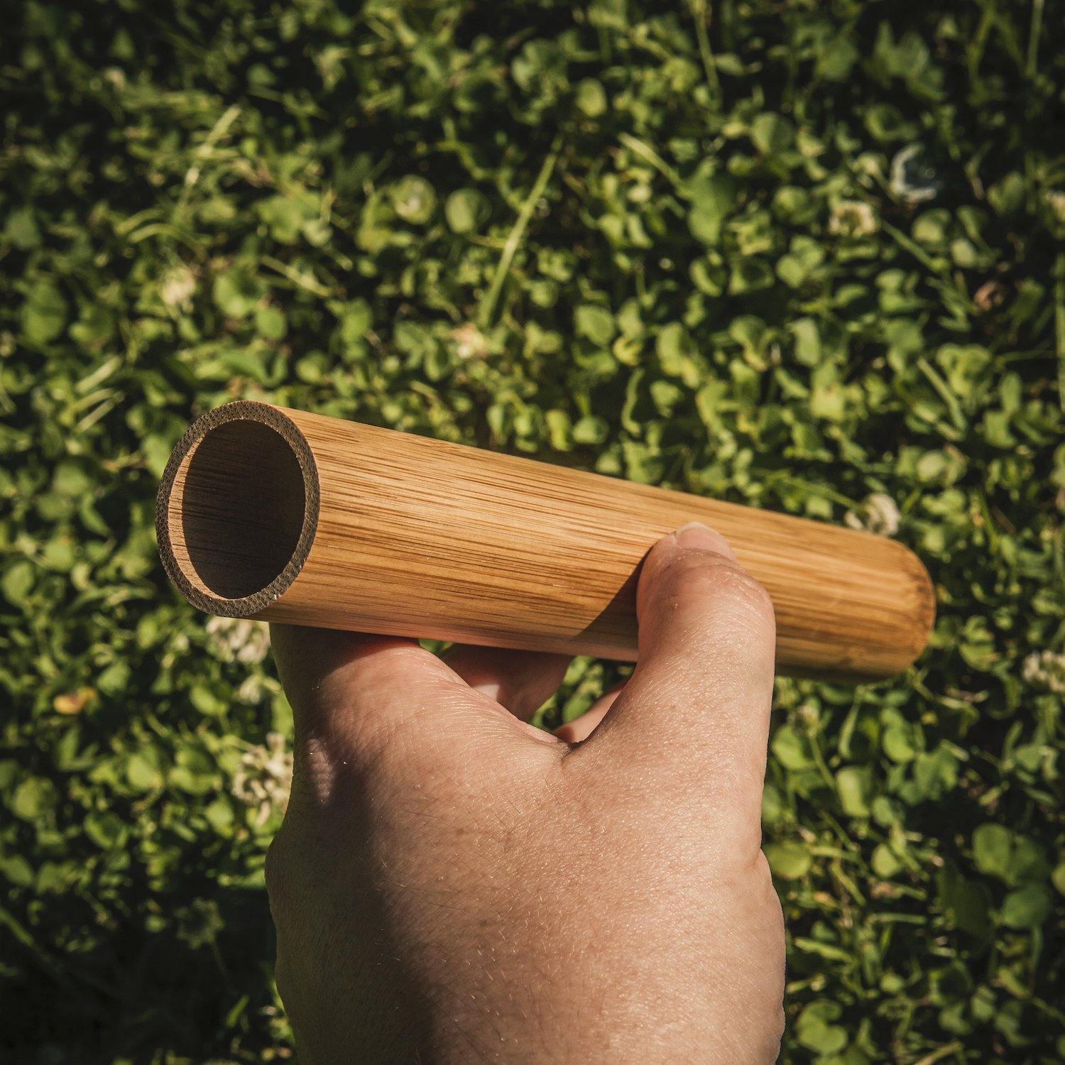 Bamboo Antibacterial Tube For Toothbrush - Earth Thanks - Bamboo Antibacterial Tube For Toothbrush - anti-microbial, antibacterial, antimicrobial, bamboo, bathroom, beauty, body care, box, camping, cleaning, compostable, container, food, handmade, health, home, house, makeup, non toxic, office, outdoor, picnic, plant trees, recyclable, recycle, recycle friendly, restroom, reusable, school, self-care, stationery, sterile, sticks, teeth, toilet, tools, toothbrush, travel, vegan friendly, wood, wooden