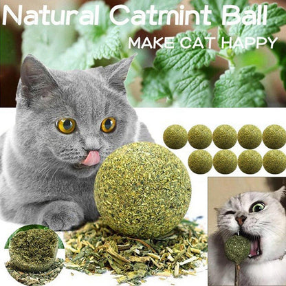 Edible Catnip Toy Ball - The Ultimate Sustainable and Safe Cat Toy