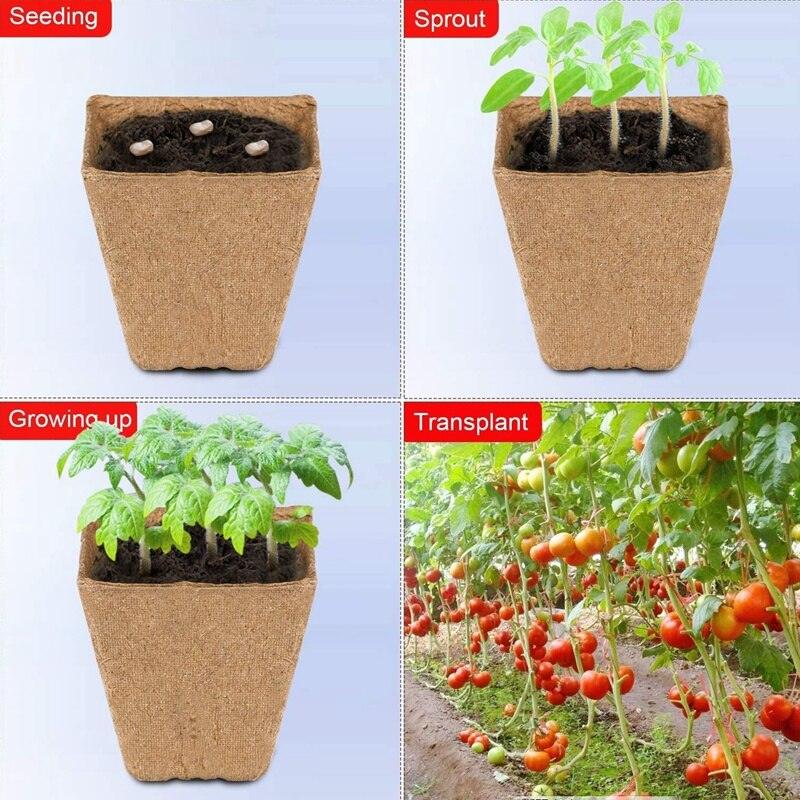 Biodegradable Compostable Planting Pots With 10 Plant Labels - Earth Thanks - Biodegradable Compostable Planting Pots With 10 Plant Labels - natural, vegan, eco-friendly, organic, sustainable, biodegradable, garden, natural, nature, non-toxic, outdoor, paper, plant, plant-based, plastic-free, seeds, vegan