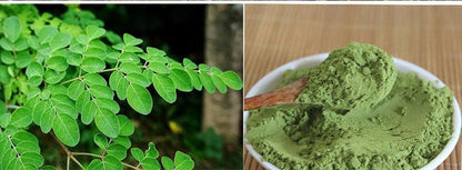 Organic Moringa Leaf Powder - Earth Thanks - Organic Moringa Leaf Powder - natural, vegan, eco-friendly, organic, sustainable, amino acids, diy, do it yourself, energy, food, health, immune health, ingredient, ingredients, leaf powder, minerals, moringa, natural, organic, pure, remedies, superfood, sustainable, vitamins