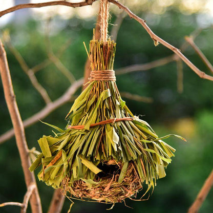 Handmade Hanging Bird House - Natural Grass Fiber Finch Nest Hut for Outdoor Use - Earth Thanks - Handmade Hanging Bird House - Natural Grass Fiber Finch Nest Hut for Outdoor Use - natural, vegan, eco-friendly, organic, sustainable, attractive, biodegradable, bird house, cage, durable, finch, garden, grass fiber, hand-made, handcrafted, handicraft, handicrafts, handmade, hanging, hideaway, hut, natural, nature, nest, non-toxic, outdoor, plant, plant-based, plastic-free, seeds, shelter, vegan