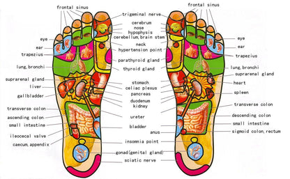 3 5 Row Wooden Foot Roller Wood Care Massage Reflexology Relax Relief Massager Spa Gift Anti Cellulite Foot Massager Care Tool - Earth Thanks - 3 5 Row Wooden Foot Roller Wood Care Massage Reflexology Relax Relief Massager Spa Gift Anti Cellulite Foot Massager Care Tool - natural, vegan, eco-friendly, organic, sustainable, biodegradable, natural, non-toxic, plastic-free, wood, wooden