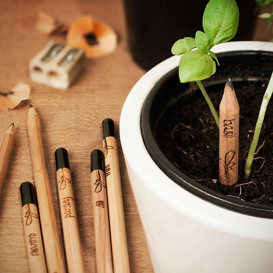 Grow Pencil: a pencil you can plant (Set of 8) - Earth Thanks - Grow Pencil: a pencil you can plant (Set of 8) - natural, vegan, eco-friendly, organic, sustainable, bamboo, compostable, disposable, green energy, multipurpose, non tossico, non toxic, office, organic, pencil, pencil case, recyclable, recycle, recycle friendly, reusable, stationery, vegan friendly, wood, wooden, writing