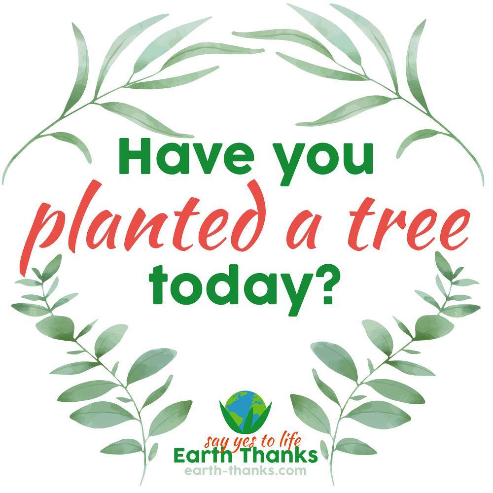 Have you planted a tree today? - Organic cotton t-shirt dress - Earth Thanks - Have you planted a tree today? - Organic cotton t-shirt dress - natural, vegan, eco-friendly, organic, sustainable, apparel, comfortable, compostable, cotton, eco textiles, ecofashion, embroidery, non toxic, organic, organic cotton, outdoor, recyclable, recycle, recycle friendly, soft, T-shirt, T-shirt dress, travel, unisex, vegan friendly, woman